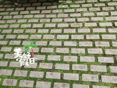 -公主楼