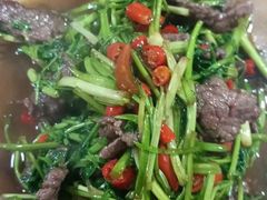 -柘林湖生态鱼馆
