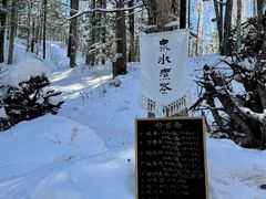 -峡谷浮石林景区