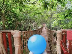 -呀路古热带植物园