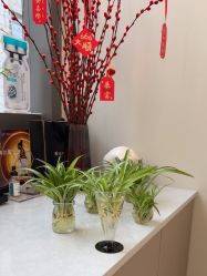 -北京楚诺医疗美容
