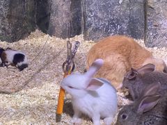 -正佳雨林生态植物园