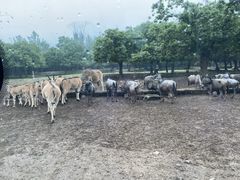 -西安秦岭野生动物园