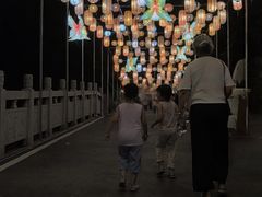 -洋湖国家湿地公园