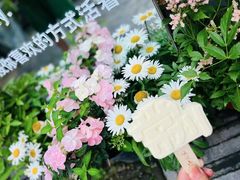 -青果巷历史文化街区