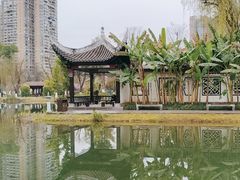 -北湖公园