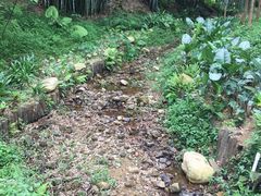 -田心森林公园