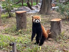 -深圳野生动物园