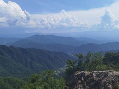 -王顺山国家森林公园