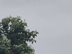 -南澳海滩