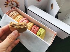 -Pierre Marcolini(德基广场店)
