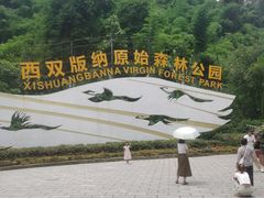 -西双版纳原始森林公园