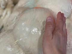 -博望坡饭店(宜山路店)