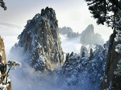 -苏浙总会(国金中心店)