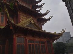 -龙潭水乡