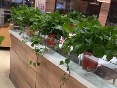 大堂-嘉和一品粥(政府街店)