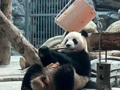 -武汉动物园