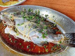 -大湾区中央湿地公园-十九涌