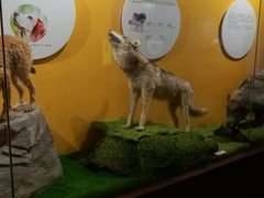 展品-广东省博物馆