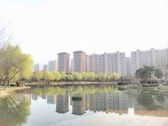 -木塔寺遗址生态公园
