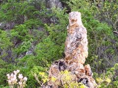 -大连天门山国家森林公园