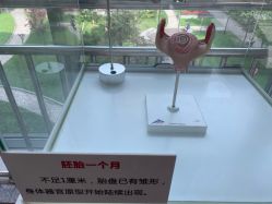 -重庆市妇幼保健院(冉家坝院区)