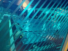 -威尔仕健身·游泳(卢湾店)