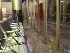 -谢列梅捷沃国际机场