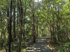 -月光岛(五龙岛)