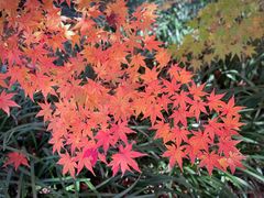 -花开海上生态园