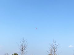 -九里河湿地公园