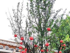-尽善百年古院餐厅(王家老宅店)