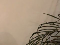 -来龙里 精致 东南亚餐室(万象城店)