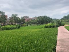 -红山村