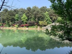 -铁山坪森林公园