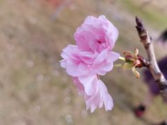 -恒大世纪梦幻城