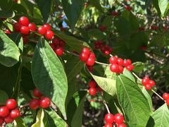 -长春公园(普阳街道)