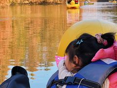 -上海海湾国家森林公园