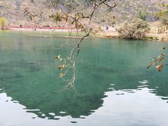 -靖西鹅泉风景区