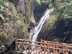 -广州市流溪河国家森林公园