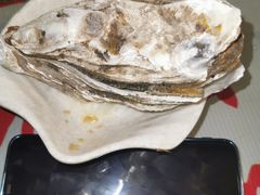 蒸汽生蚝-辉记炭烧海鲜大排档·老字号(福田店)