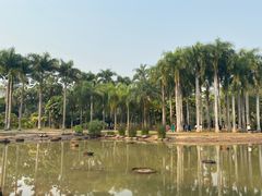 -中国科学院西双版纳热带植物园