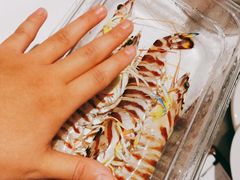 -青蓬海上捞蒸品海鲜城(海岸城店)