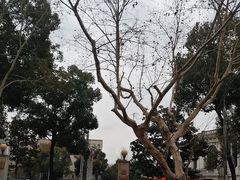 -上海花园饭店