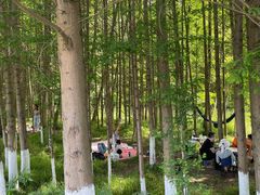 -桤木河湿地公园