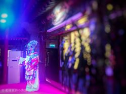 宴会厅-花家怡园·宴会厅(簋街四合院总店)