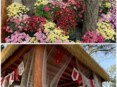 -沂蒙山旅游区云蒙景区(蒙山国家森林公园)