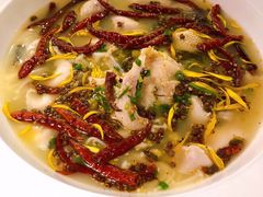 老坛酸菜鱼-乾园(天河城店)
