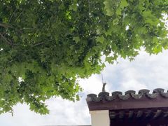 -苏州园林博物馆