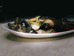 清蒸老虎斑-南海渔家•海鲜•正宗海南菜(海棠湾店)